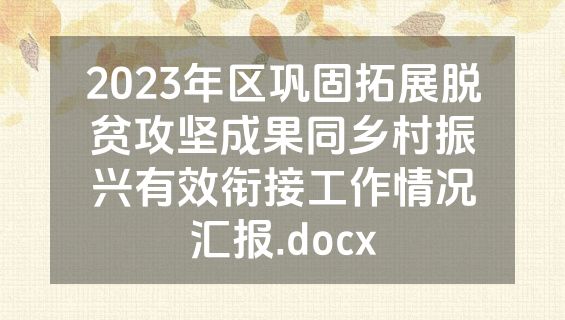 2023年区巩固拓展脱贫攻坚成果同乡村振兴有效衔接工作情况汇报.docx