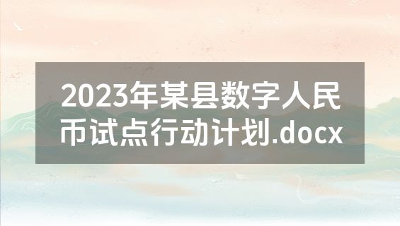 2023年某县数字人民币试点行动计划.docx