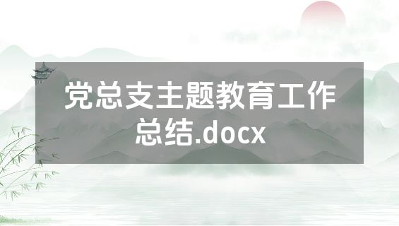 党总支主题教育工作总结.docx