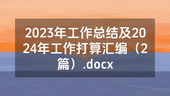 2023年工作总结及2024年工作打算汇编（2篇）.docx