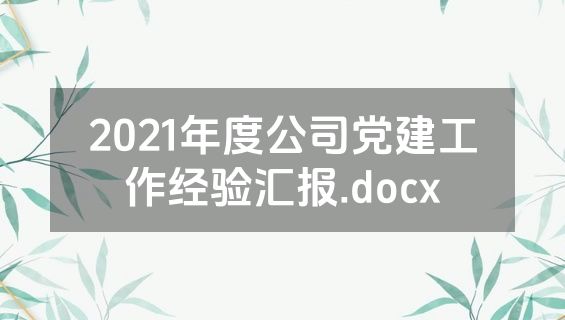2021年度公司党建工作经验汇报.docx