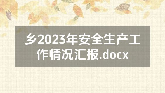 乡2023年安全生产工作情况汇报.docx