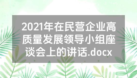 2021年在民营企业高质量发展领导小组座谈会上的讲话.docx