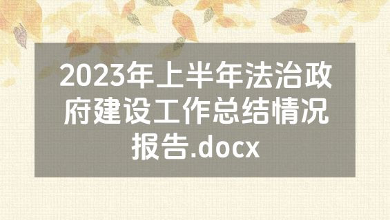 2023年上半年法治政府建设工作总结情况报告.docx