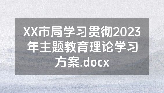 XX市局学习贯彻2023年主题教育理论学习方案.docx