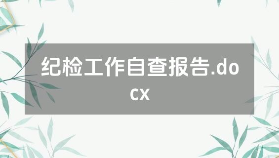 纪检工作自查报告.docx