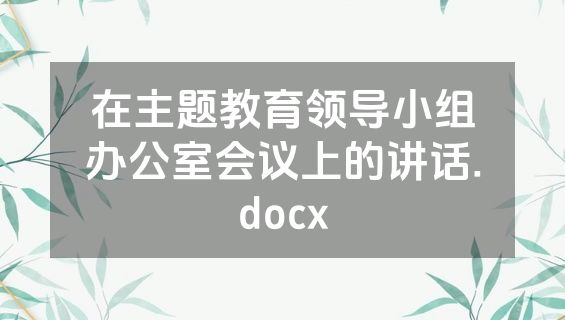 在主题教育领导小组办公室会议上的讲话.docx