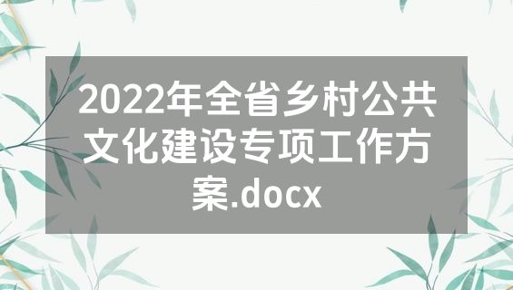 2022年全省乡村公共文化建设专项工作方案.docx