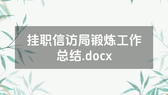 挂职信访局锻炼工作总结.docx