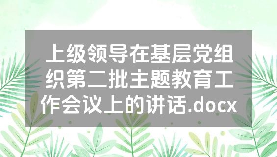 上级领导在基层党组织第二批主题教育工作会议上的讲话.docx
