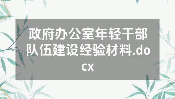 政府办公室年轻干部队伍建设经验材料.docx