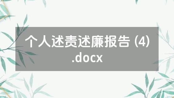 个人述责述廉报告 (4).docx