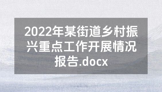 2022年某街道乡村振兴重点工作开展情况报告.docx