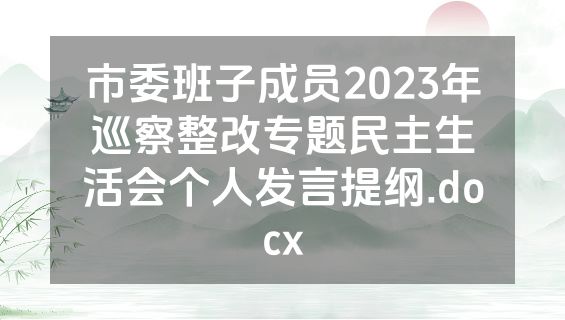 市委班子成员2023年巡察整改专题民主生活会个人发言提纲.docx