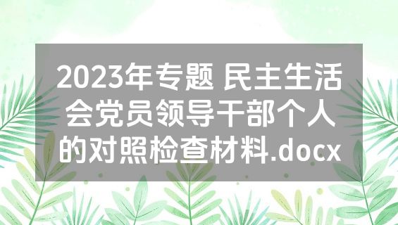 2023年专题 民主生活会党员领导干部个人的对照检查材料.docx