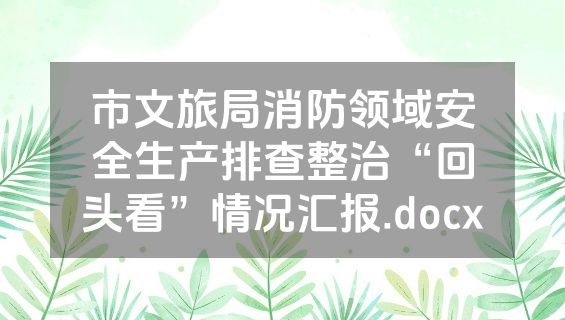 市文旅局消防领域安全生产排查整治“回头看”情况汇报.docx