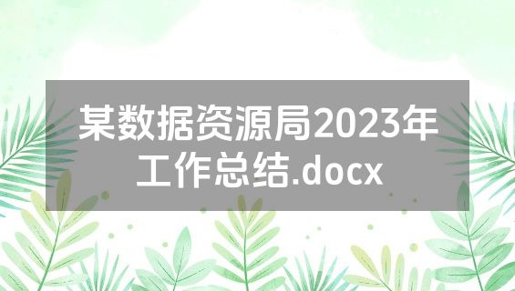某数据资源局2023年工作总结.docx