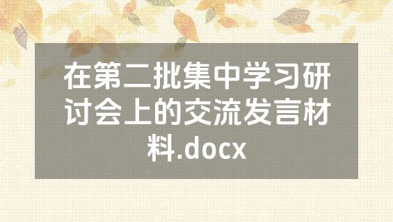 在第二批集中学习研讨会上的交流发言材料.docx