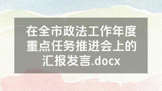 在全市政法工作年度重点任务推进会上的汇报发言.docx