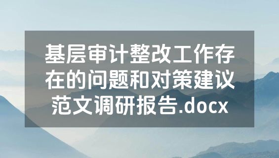 基层审计整改工作存在的问题和对策建议范文调研报告.docx