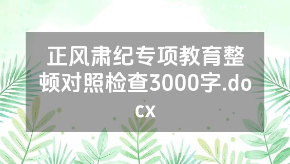 正风肃纪专项教育整顿对照检查3000字.docx