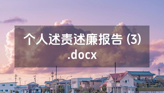 个人述责述廉报告 (3).docx