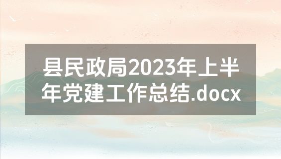 县民政局2023年上半年党建工作总结.docx