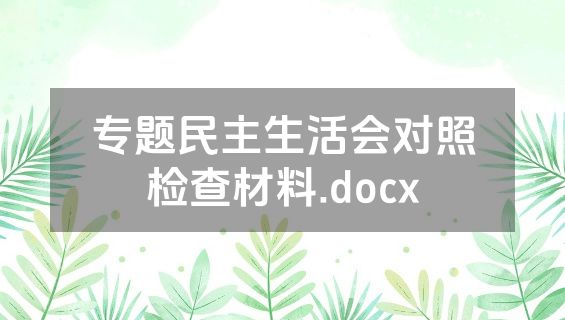 专题民主生活会对照检查材料.docx