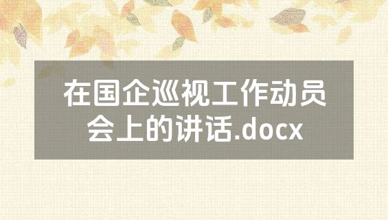 在国企巡视工作动员会上的讲话.docx