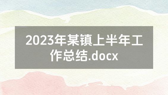 2023年某镇上半年工作总结.docx