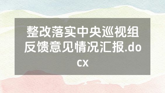 整改落实中央巡视组反馈意见情况汇报.docx
