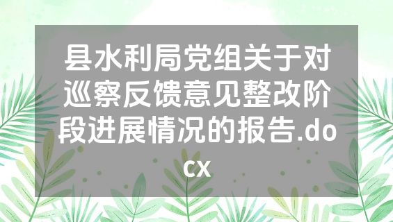 县水利局党组关于对巡察反馈意见整改阶段进展情况的报告.docx