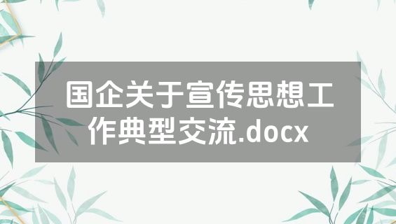 国企关于宣传思想工作典型交流.docx