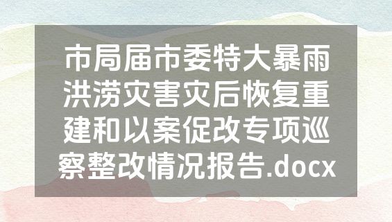 市局届市委特大暴雨洪涝灾害灾后恢复重建和以案促改专项巡察整改情况报告.docx