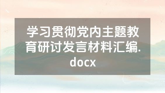 学习贯彻党内主题教育研讨发言材料汇编.docx