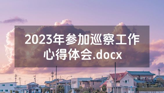 2023年参加巡察工作心得体会.docx