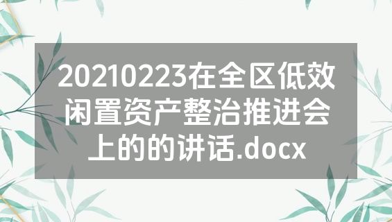 20210223在全区低效闲置资产整治推进会上的的讲话.docx