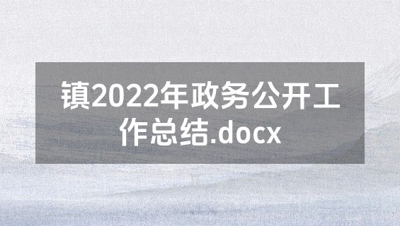 镇2022年政务公开工作总结.docx