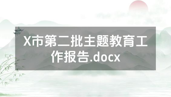 X市第二批主题教育工作报告.docx