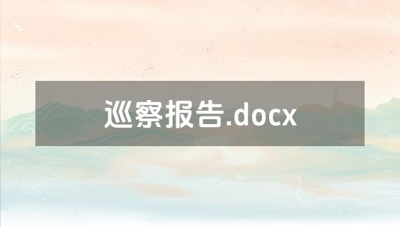 巡察报告.docx