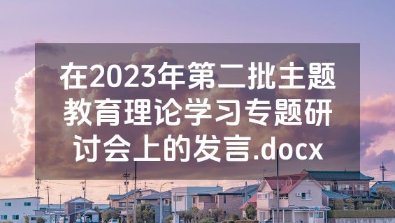 在2023年第二批主题教育理论学习专题研讨会上的发言.docx