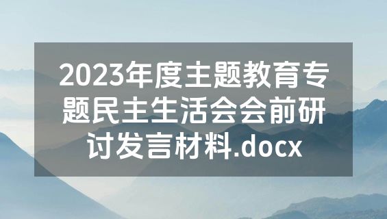 2023年度主题教育专题民主生活会会前研讨发言材料.docx