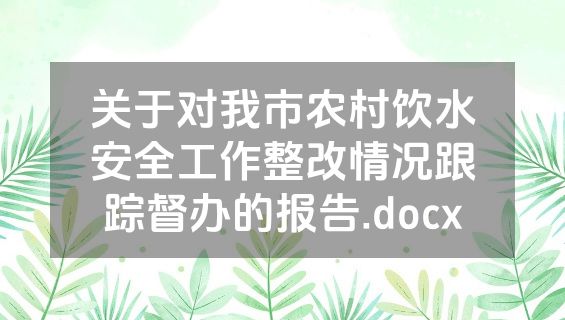 关于对我市农村饮水安全工作整改情况跟踪督办的报告.docx