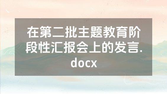 在第二批主题教育阶段性汇报会上的发言.docx