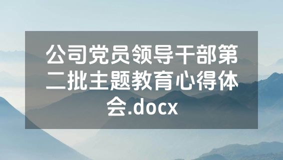 公司党员领导干部第二批主题教育心得体会.docx