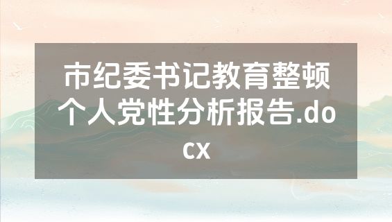 市纪委书记教育整顿个人党性分析报告.docx
