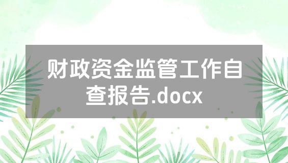 财政资金监管工作自查报告.docx