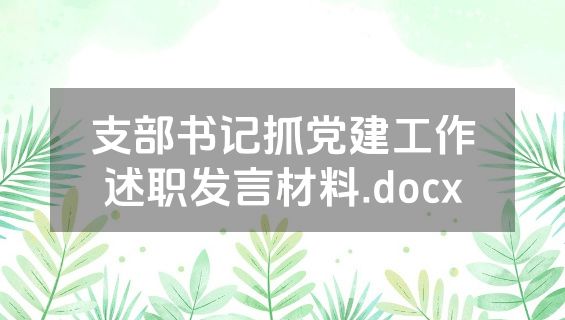 支部书记抓党建工作述职发言材料.docx