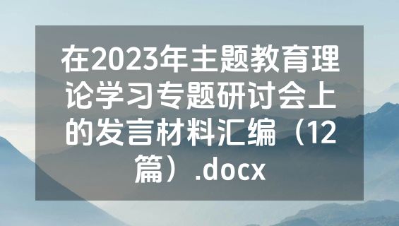 在2023年主题教育理论学习专题研讨会上的发言材料汇编（12篇）.docx