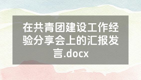 在共青团建设工作经验分享会上的汇报发言.docx